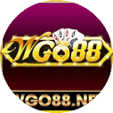 wgo88net avatar